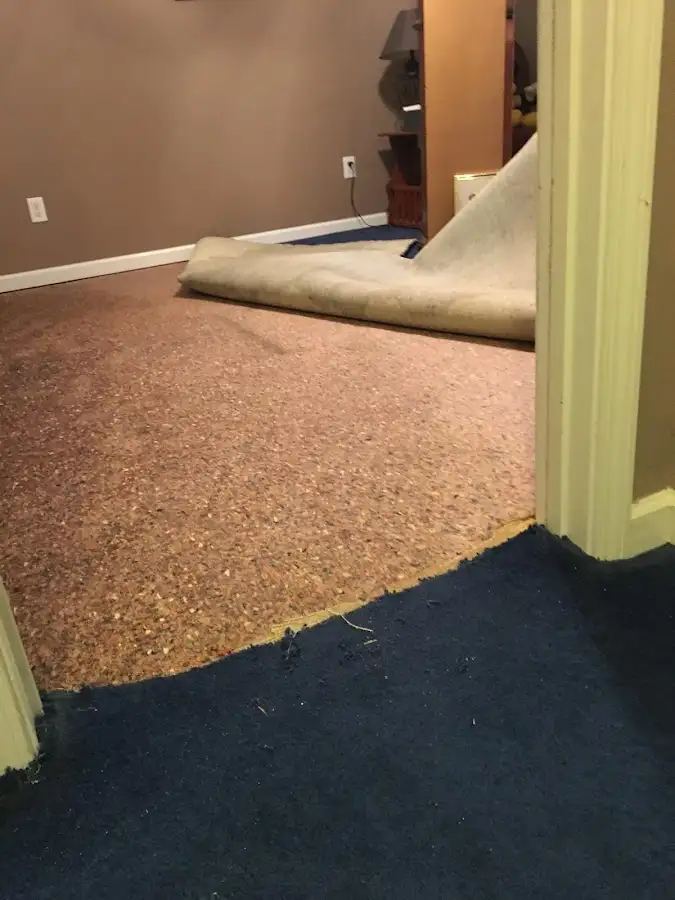 Carpet pad removal revealing water damage during Drying & Dehumidification in Winter Park